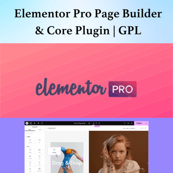 Elementor Pro update